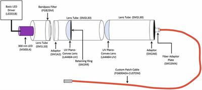 LSO:Ce Inorganic Scintillators Are Biocompatible With Neuronal and Circuit Function